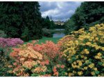 Beautiful Pruhonice park