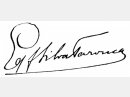 Counts Signature